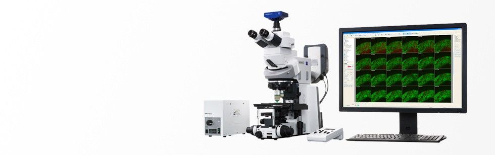 用于各种膜片钳技术应用的 Axio Examiner 显微镜